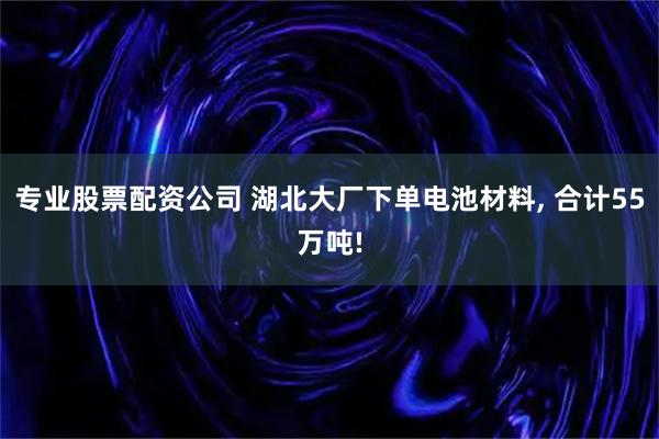 专业股票配资公司 湖北大厂下单电池材料, 合计55万吨!