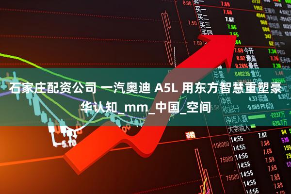 石家庄配资公司 一汽奥迪 A5L 用东方智慧重塑豪华认知_mm_中国_空间